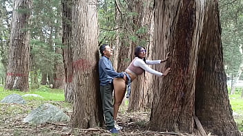 Aged Farmer Plows A Fresh Coed In The Open Field